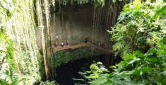 i #cenotes del #Messico