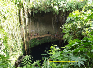 i #cenotes del #Messico