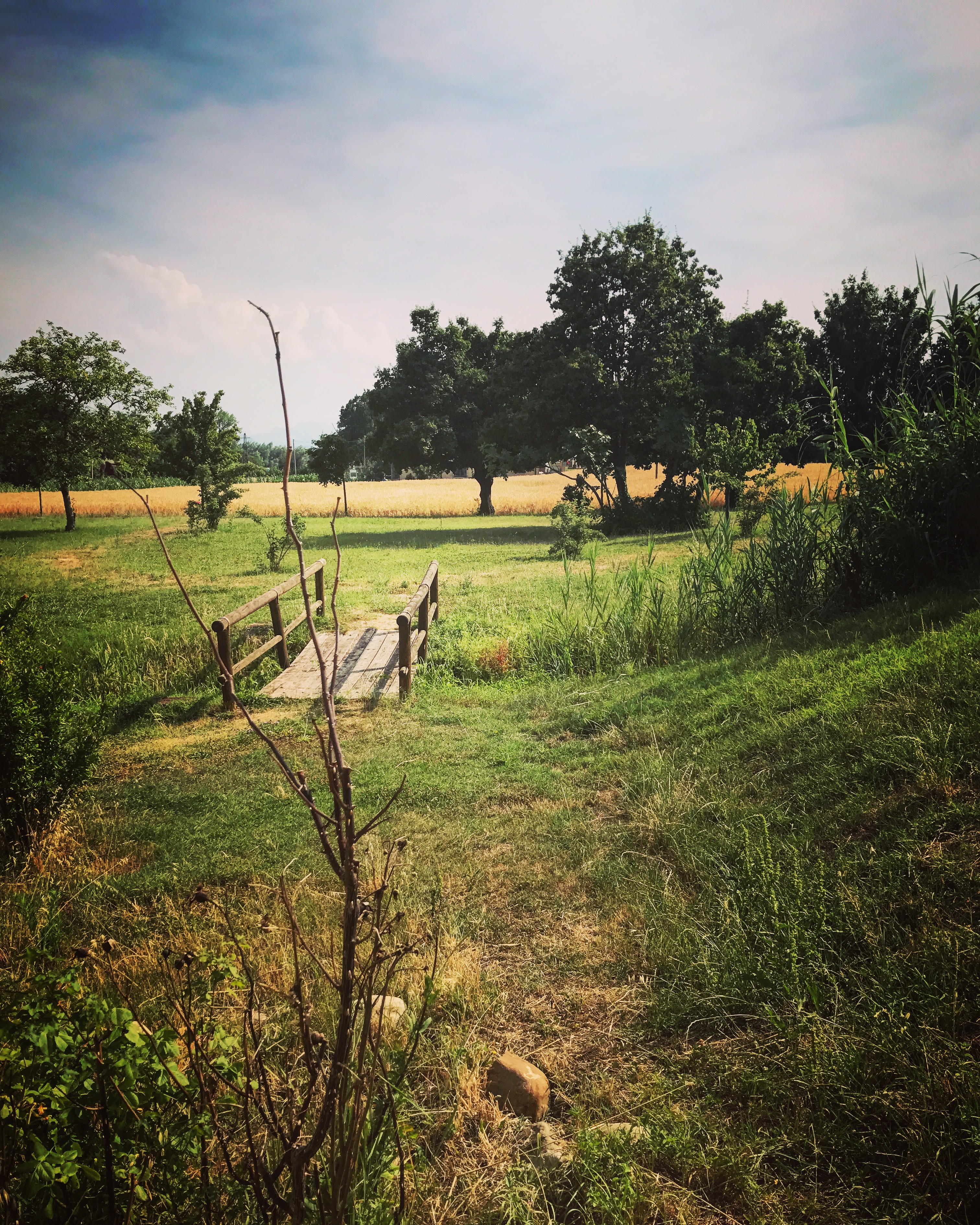 Parco antistante il Mulino Sapignoli - Bellaria