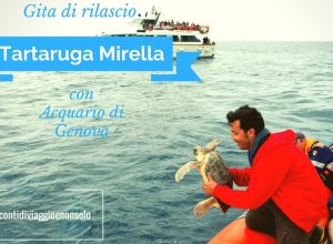 15/7/2017 Gita di rilascio della Tartaruga Mirella curata dall’Acquario di Genova