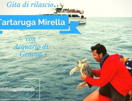 15/7/2017 Gita di rilascio della Tartaruga Mirella curata dall’Acquario di Genova