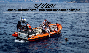 Il rilascio della tartaruga caretta Mirella a Portofino con Acquario di Genova