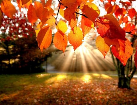 Benvenuto ottobre !
