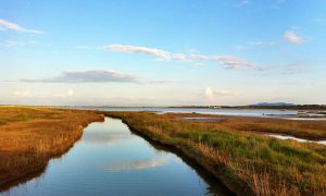 Cosa visitare in Toscana in 3 giorni : guida alla Maremma