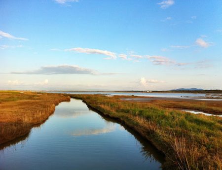 Cosa visitare in Toscana in 3 giorni : guida alla Maremma