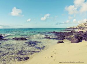 Organizzare un viaggio a #Fuerteventura