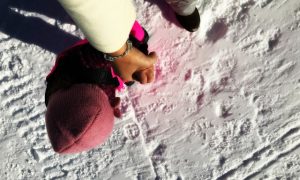 Weekend a Prato Nevoso sugli sci con bambini : cosa fare, dove dormire, dove mangiare