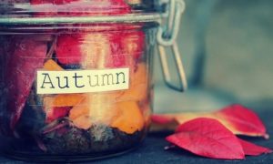 5 mete da visitare in autunno
