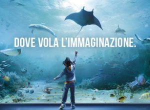 #Genova : #AcquariodiGenova e la nuova vasca dei delfini