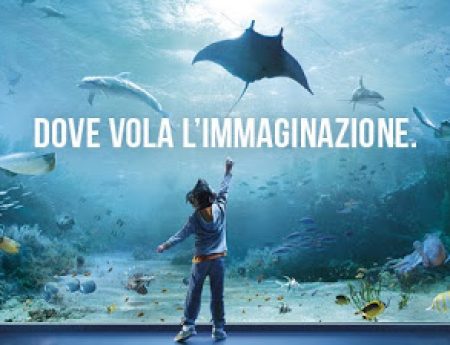 #Genova : #AcquariodiGenova e la nuova vasca dei delfini