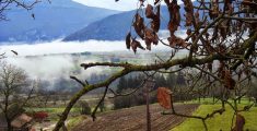 Viaggio in #Trentino tra gusto e tradizione