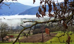 Viaggio in #Trentino tra gusto e tradizione