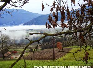 Viaggio in #Trentino tra gusto e tradizione