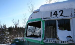 Viaggio in Alaska tra le pagine del libro “Ritorno alle Terre Selvagge” di Francesco Lotta