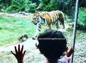 Weekend sul Lago di Garda con bambini tra parchi gioco, safari e giardini all’aria aperta