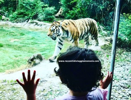 Weekend sul Lago di Garda con bambini tra parchi gioco, safari e giardini all’aria aperta