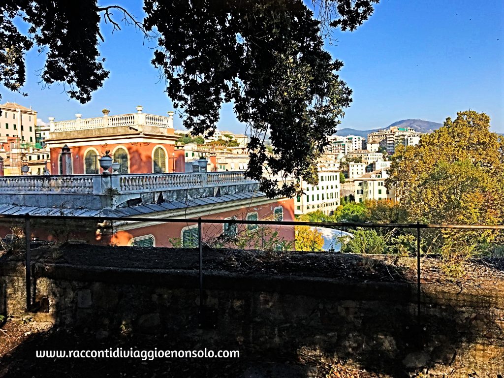 Vista dall'Acquasola