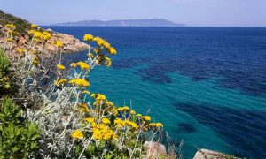 Weekend all’Isola del Giglio: in autunno è meglio!