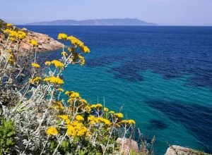 Weekend all’Isola del Giglio: in autunno è meglio!