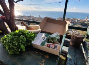 Pesto Kit : il regalo che profuma di Liguria