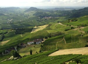 Langhe con bambini : cosa fare, dove dormire e mangiare