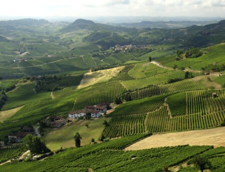 Langhe con bambini : cosa fare, dove dormire e mangiare