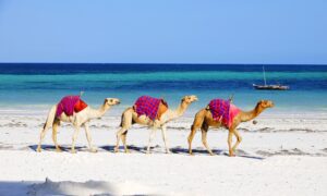 Viaggio a Sharm el Sheikh da sogno in coppia : cosa non perdersi
